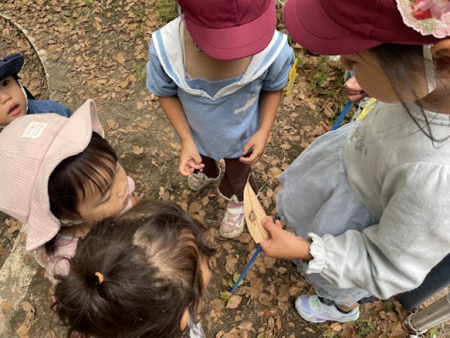 5.9かたつむりとの出会い