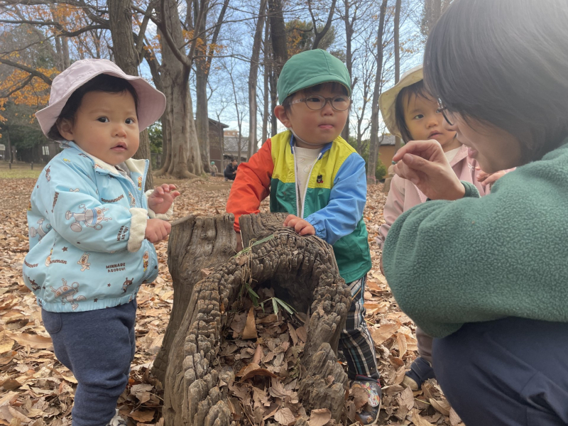 Image_20251216_122537_395