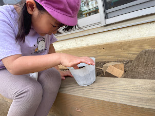 4月15日「たんぽぽの種」