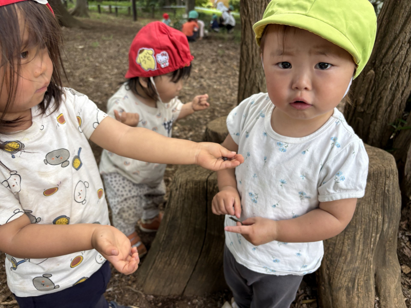 25日 (2)