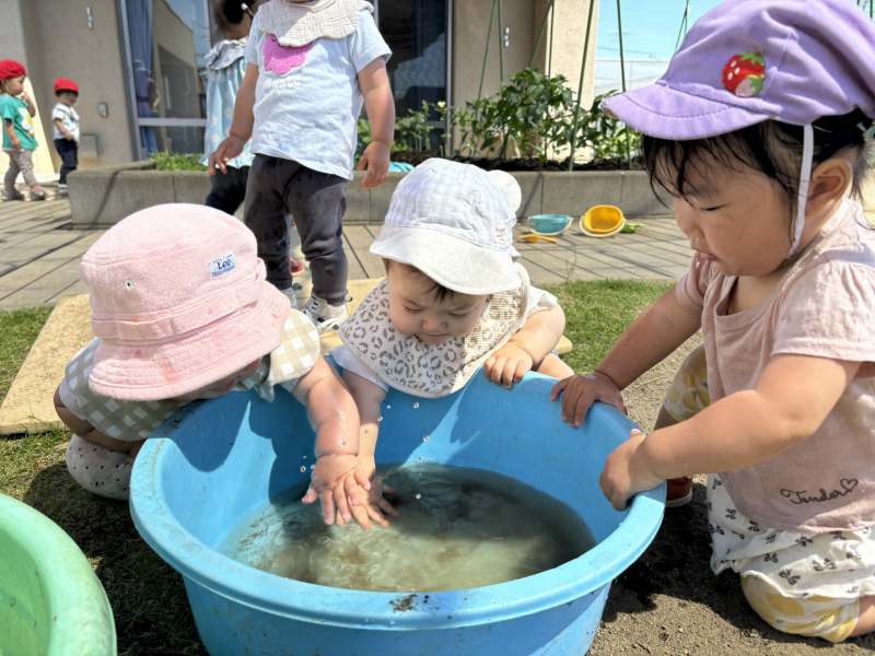 Image_20260601_121213_289