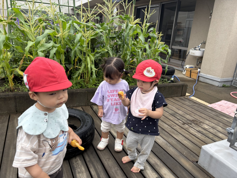 Image_20260626_111324_411