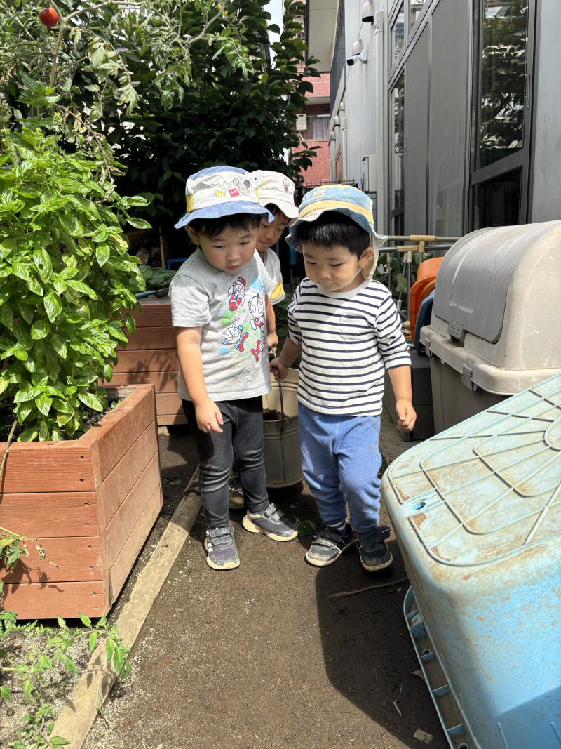 Image_20260925_142612_348