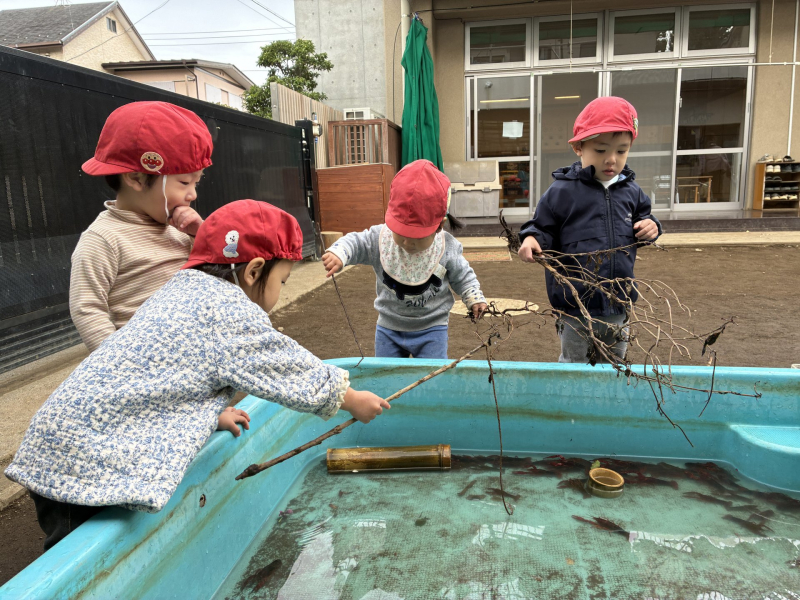 29日 (2)