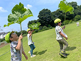 第8回TOKYO保育フォトコンテスト 園児部門 入選「ごぼうのはっぱのかさ」