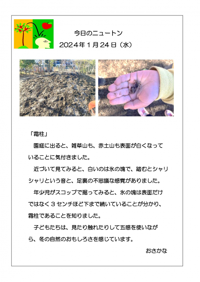 20240124　霜柱