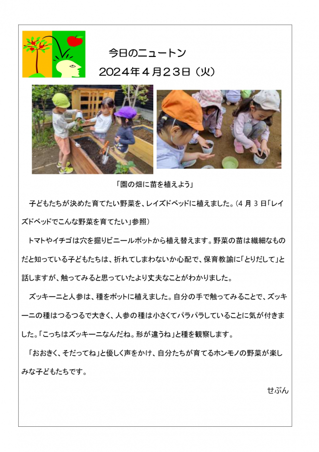 20240423「園の畑に苗を植えよう」_page-0001