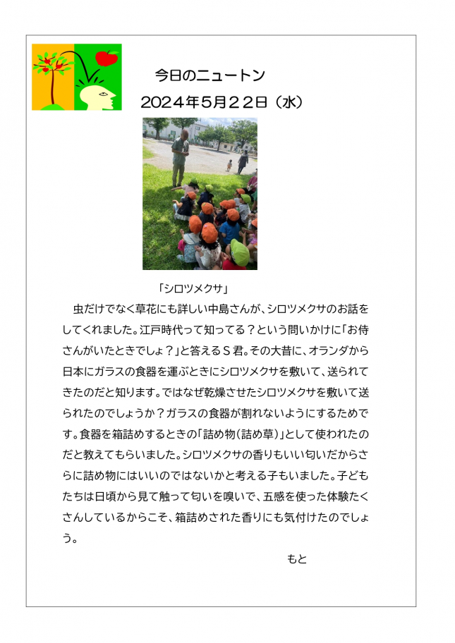 20240522「シロツメクサ」1_page-0001