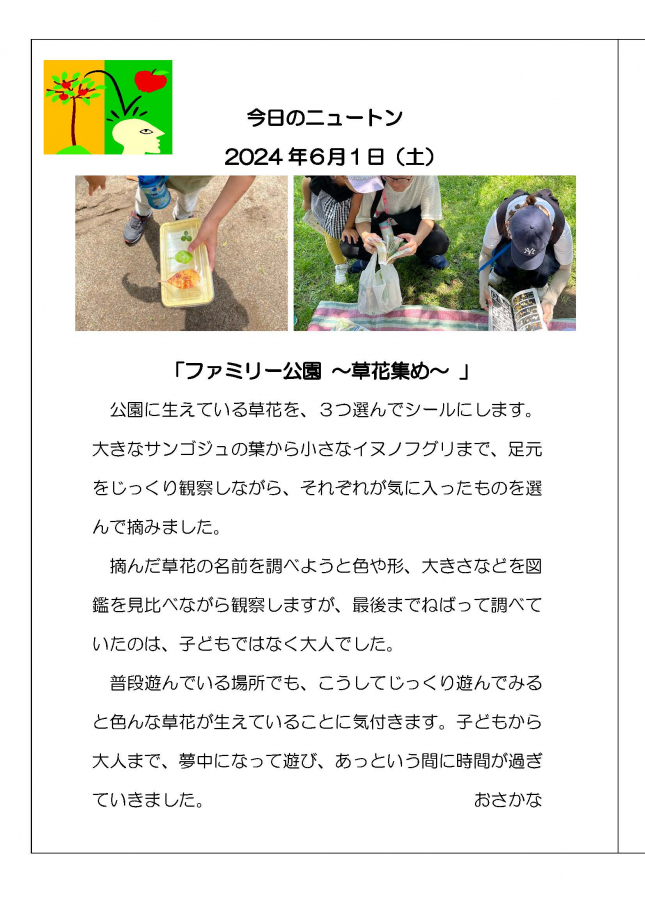 20240601ファミリー公園～草花集め～