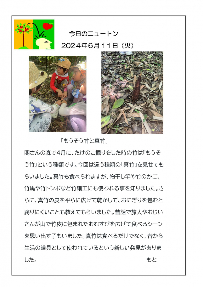 20240611「もうそう竹と真竹」_ページ_1