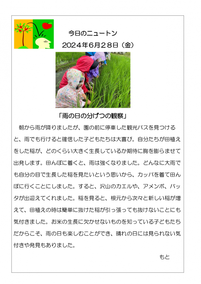 20240628「雨の日の分げつの観察」_page-0001