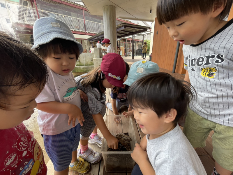 20日①