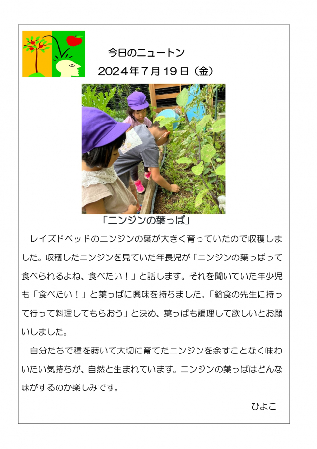 20240719「ニンジンの葉っぱ」_page-0001