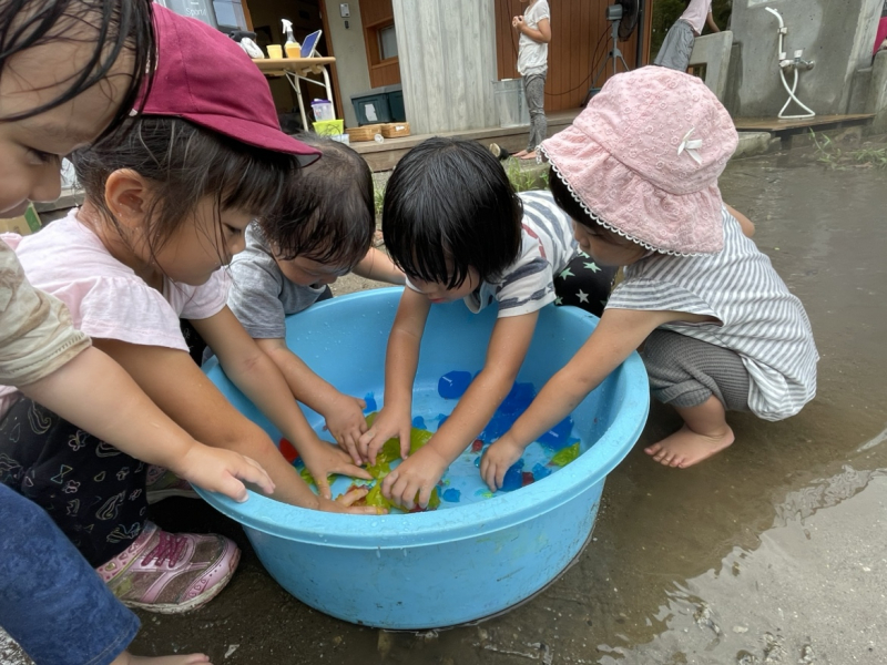 8日寒天遊び②