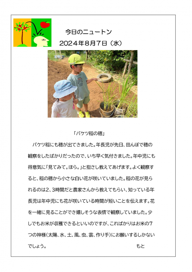 20240807「バケツ稲」_ページ_1