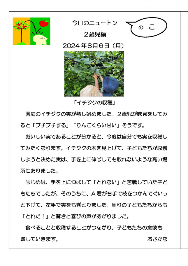 20240806　イチジクの収穫