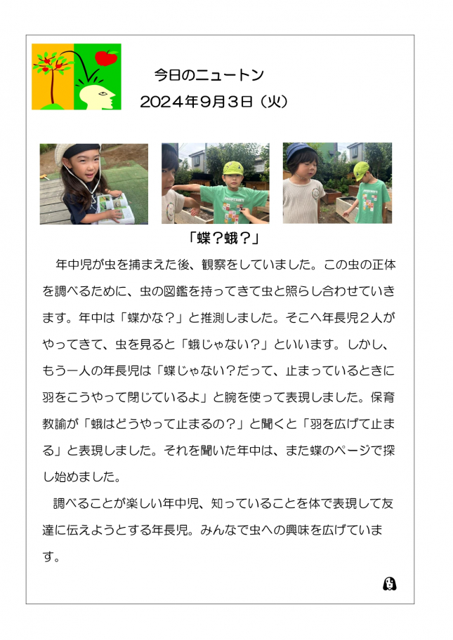 20240903「蝶？蛾？」_page-0001