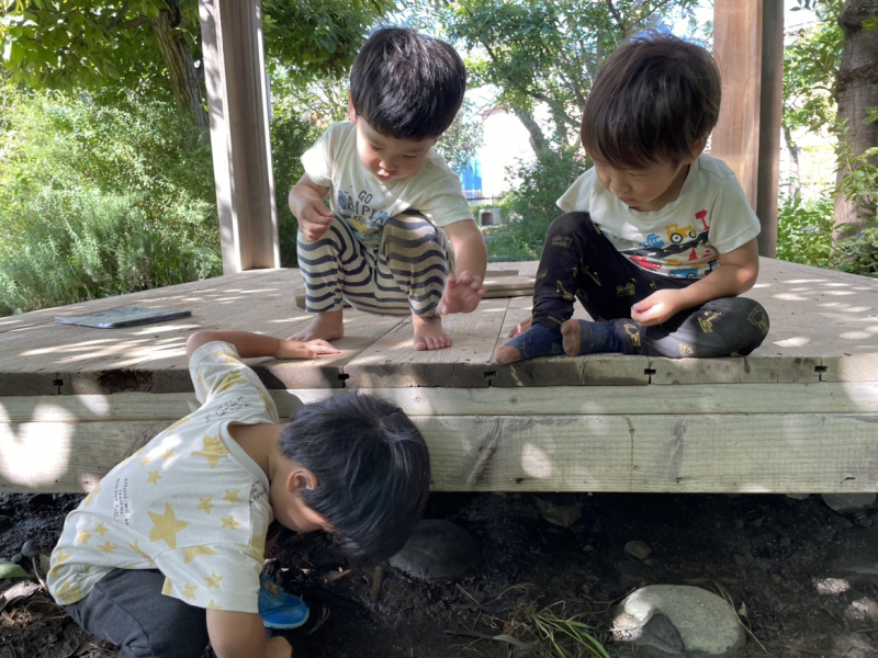 2日②