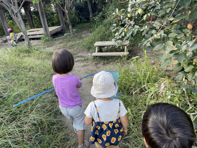 26日②