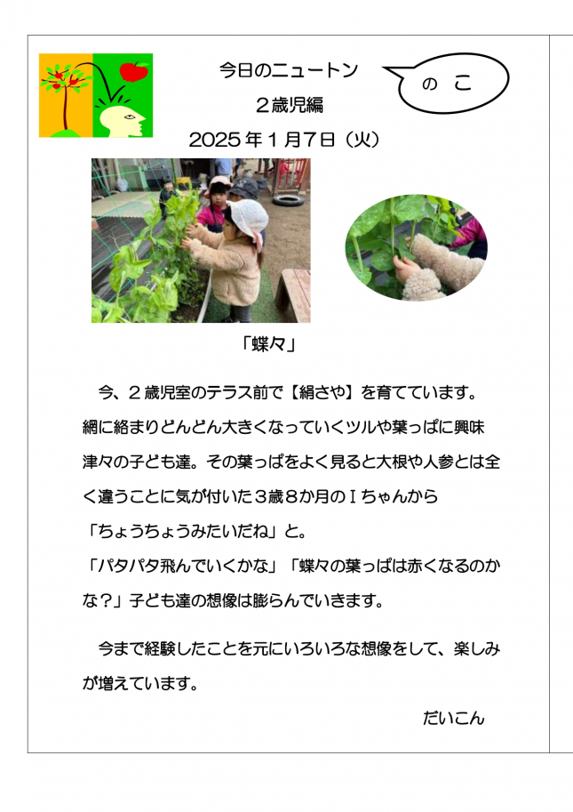 20240107　蝶々_page-0001