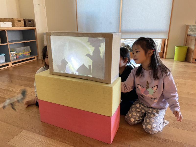 1.31影絵をみんなに見てもらいたい② (1)