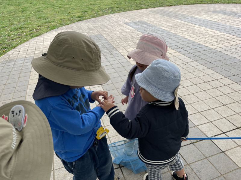 4.11ちょっと怖いけど触ってみたい③