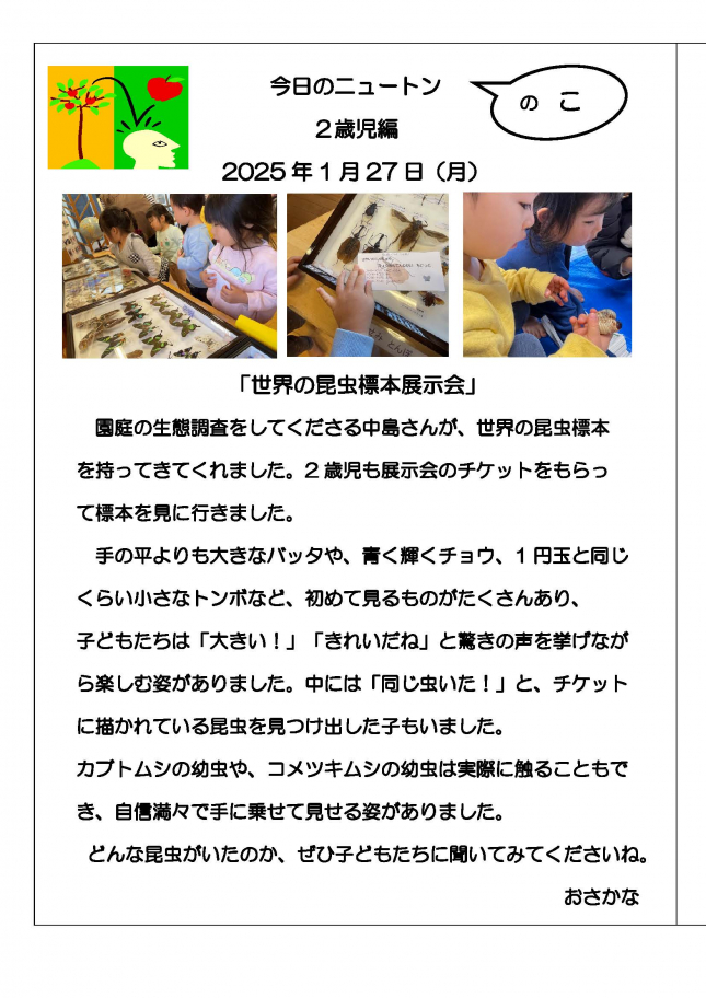 20240127　世界の昆虫標本