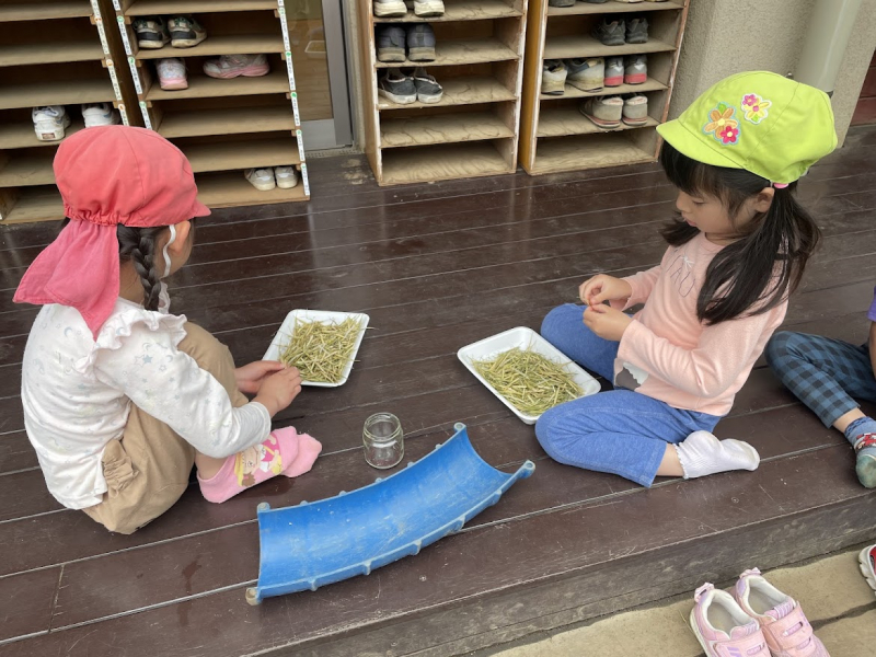 はす１