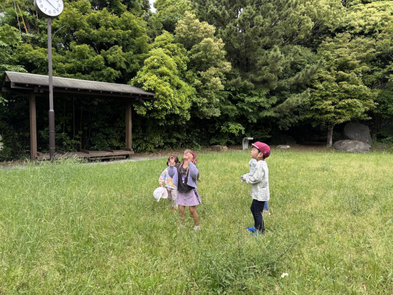 5.19虫網ないけどどうしよう？②