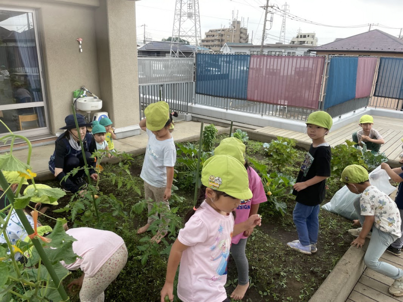 雑草２