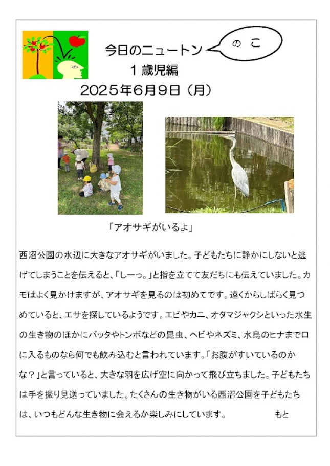 20250609「アオサギがいるよ」