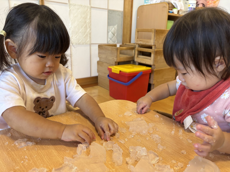 9.3「つるつる、ぶちゅぶちゅ…感触を楽しむ寒天遊び」③