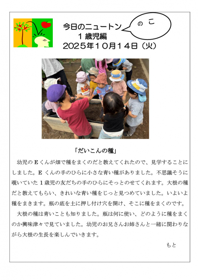 20251014「だいこんの種」