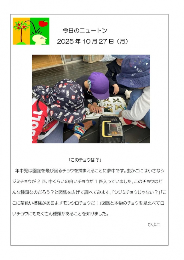 20251027「このチョウは？」