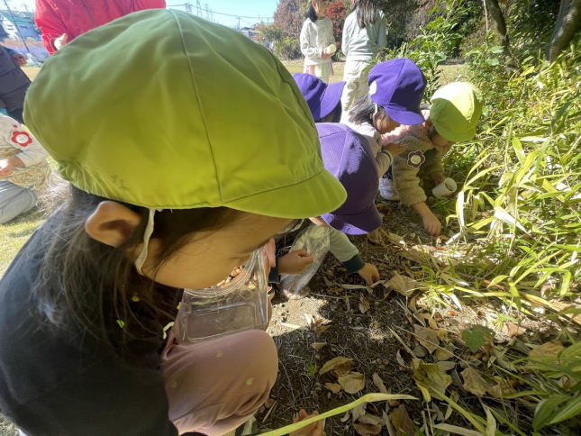 21日「どんぐりでなにつくる？」