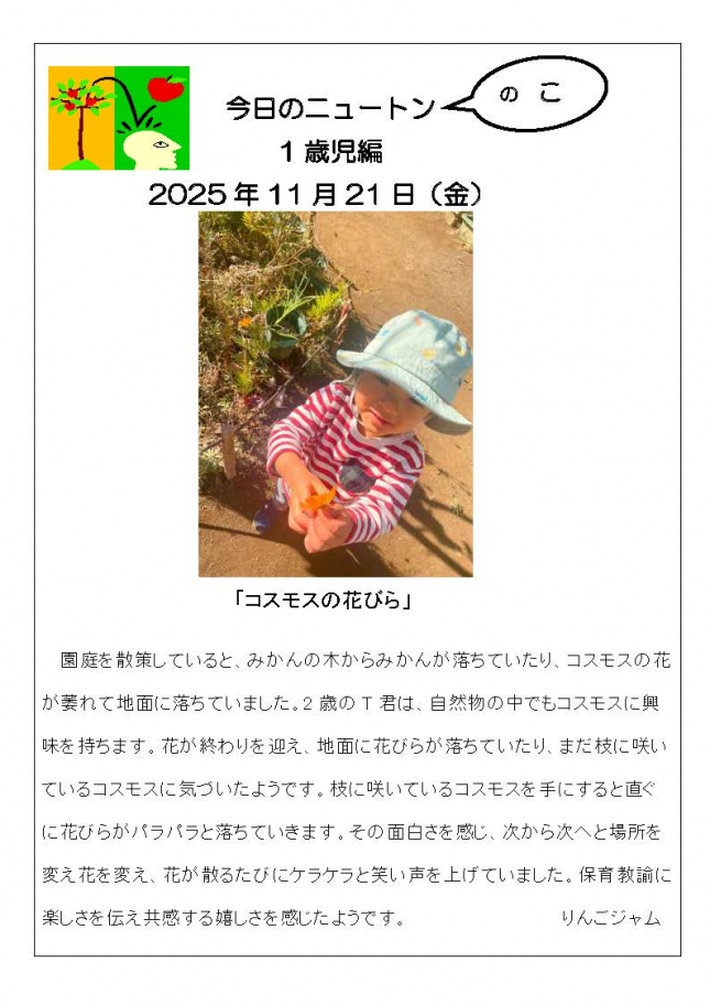 20251121「コスモスの花びら」