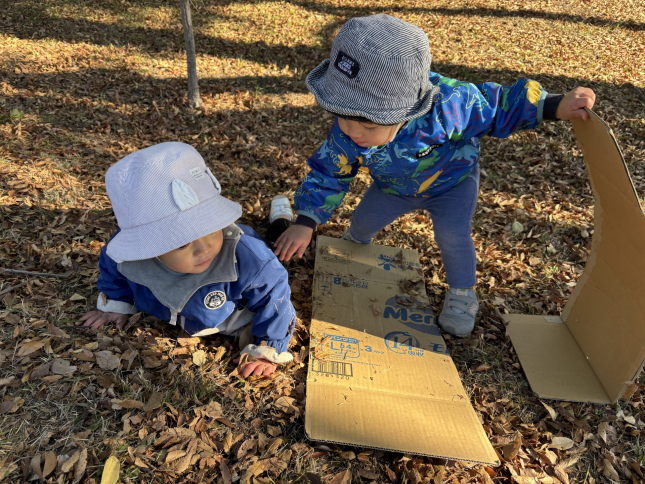 12.5「落ち葉のプール」①