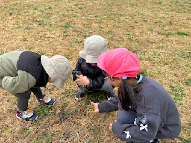 3日　釣った魚を