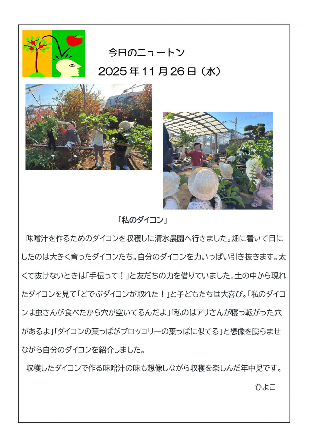 20251126「私のダイコン」