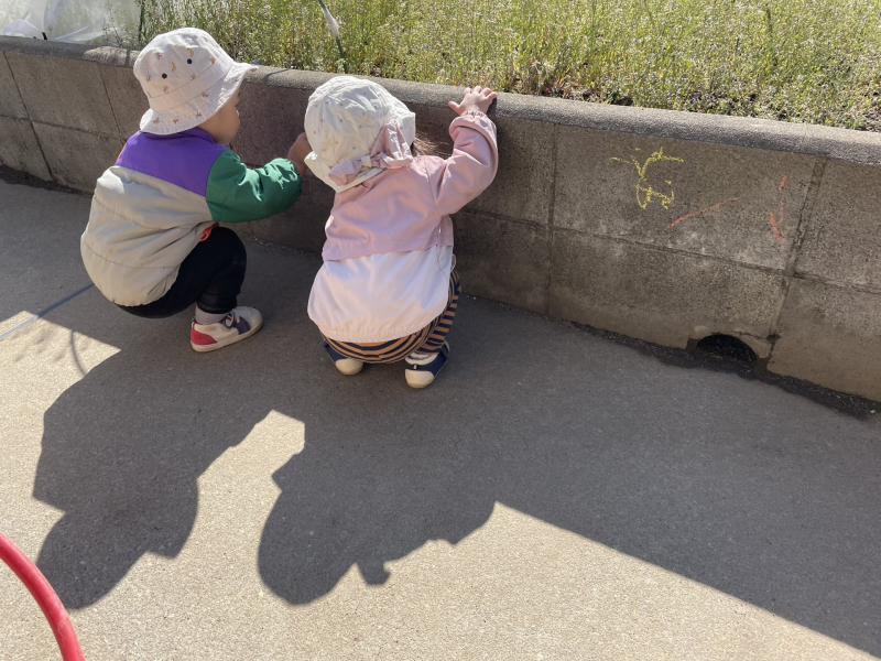 Image_20260311_121913_004