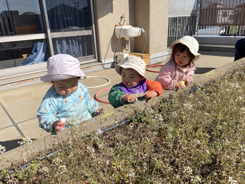 Image_20260311_121913_482