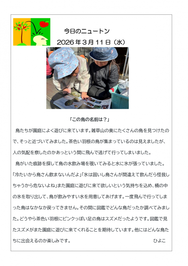 20260311「この鳥の名前は？」