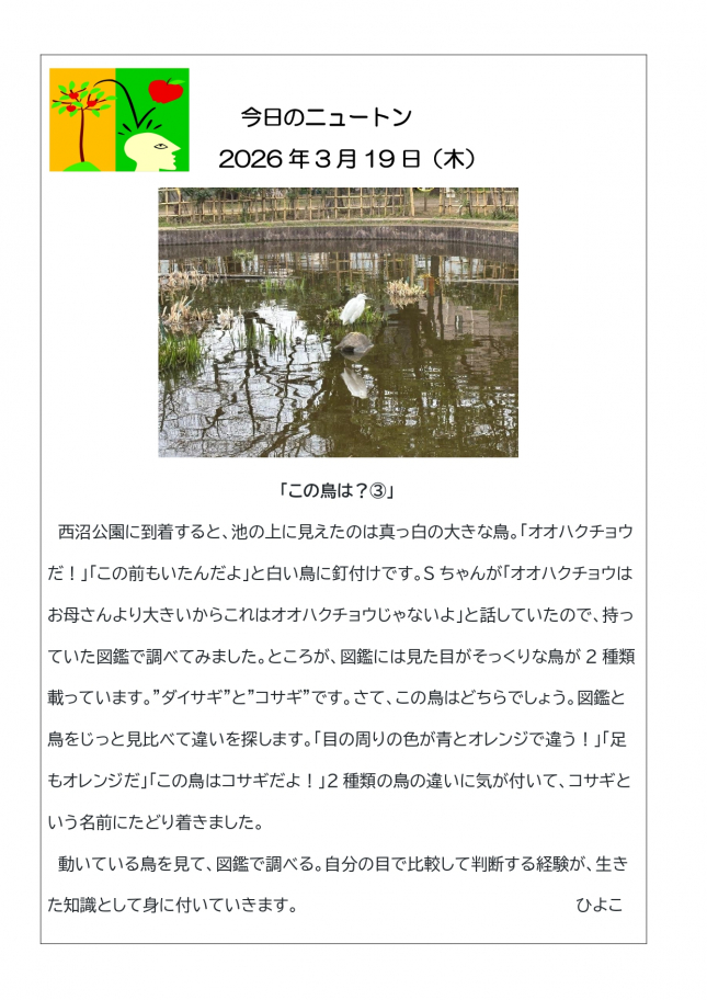 20260319「この鳥は？③」