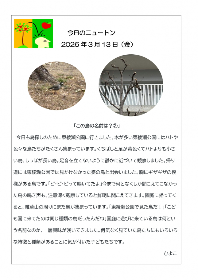20260313「この鳥の名前は？②」