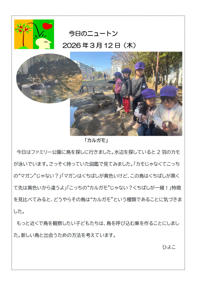 20260312「カルガモ」