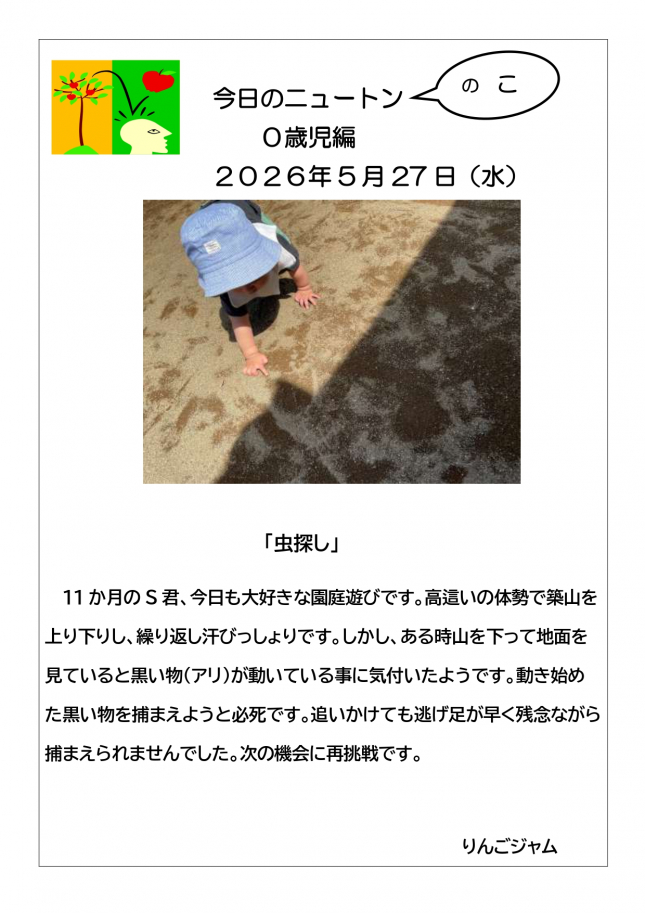 2026．５．27「虫探し」_page-0001