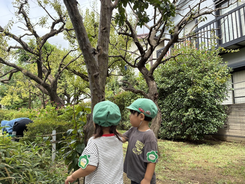 IMG_0456