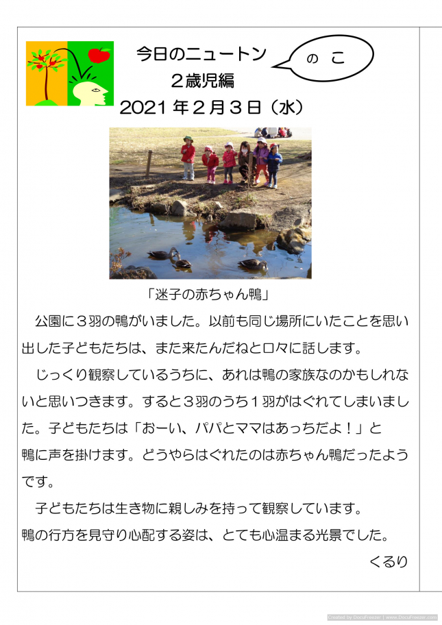 20210203「迷子の赤ちゃん鴨」