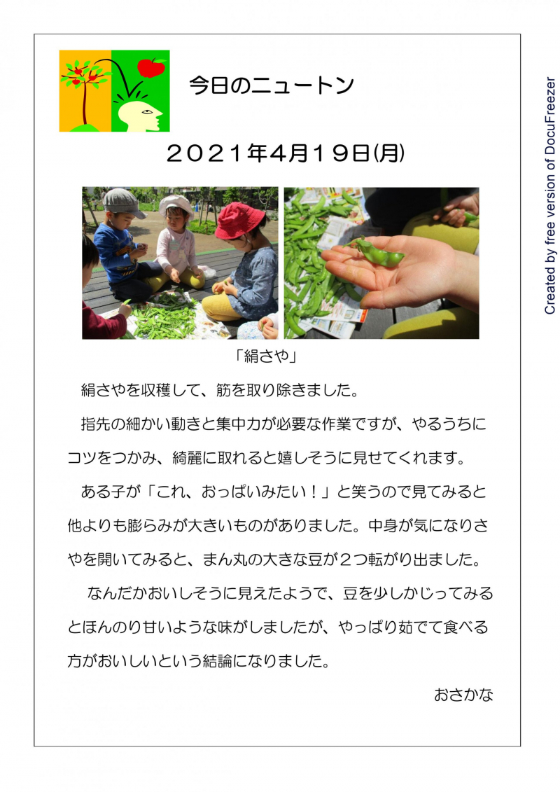 　絹さや