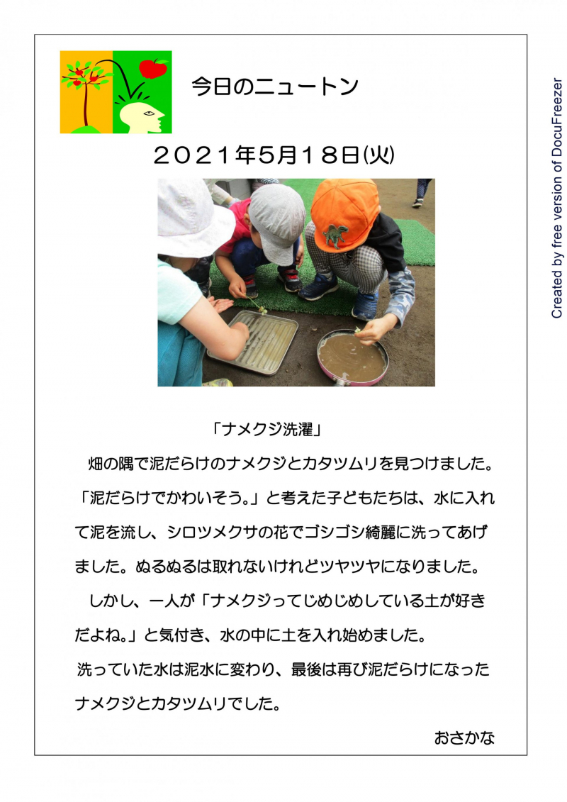 ナメクジ洗濯-1